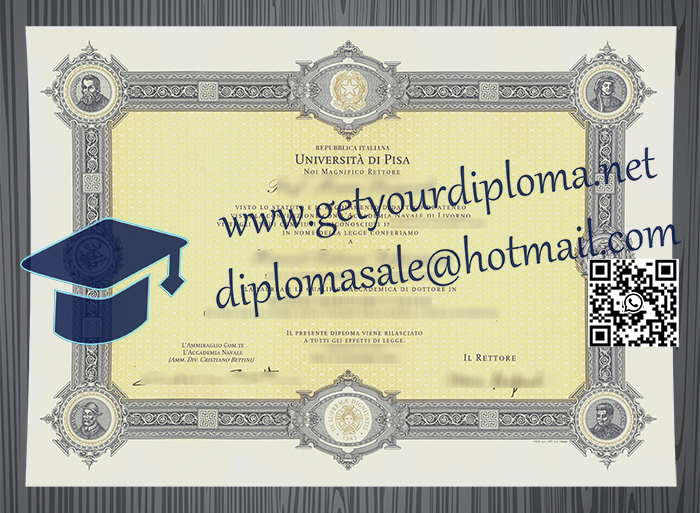 Università di Pisa degree