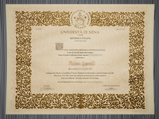 Università di Siena diploma