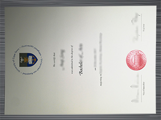 University of Cape Town diploma